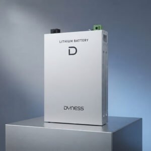 Dyness DL5.0F Lithium Battery