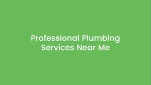 Professional Plumbing Services Near Me